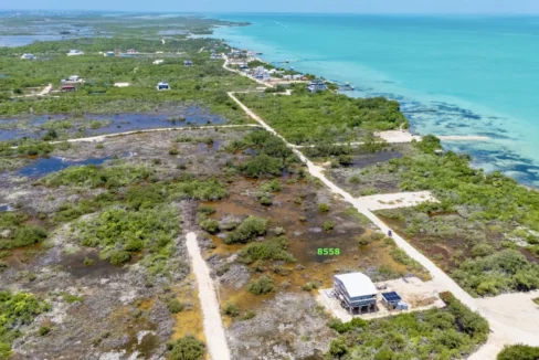 kellerwilliamsbelize-l041024sbsp-03