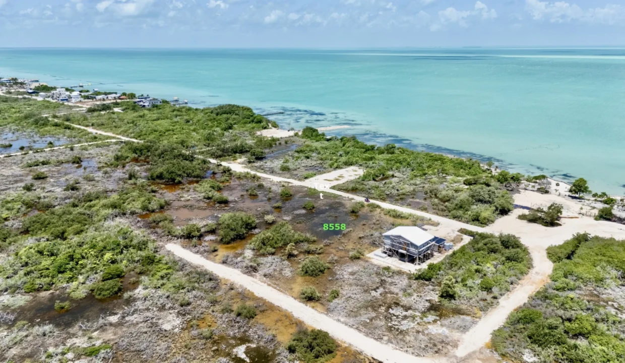 kellerwilliamsbelize-l041024sbsp-06
