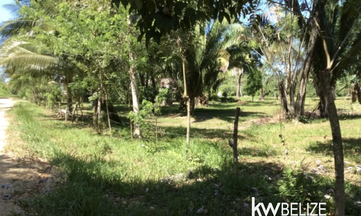 kellerwilliamsbelize-l042512d-06