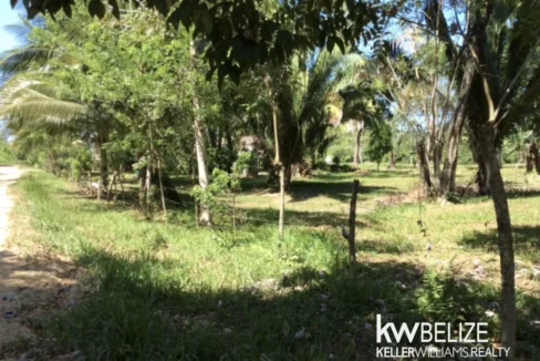 kellerwilliamsbelize-l042512d-06