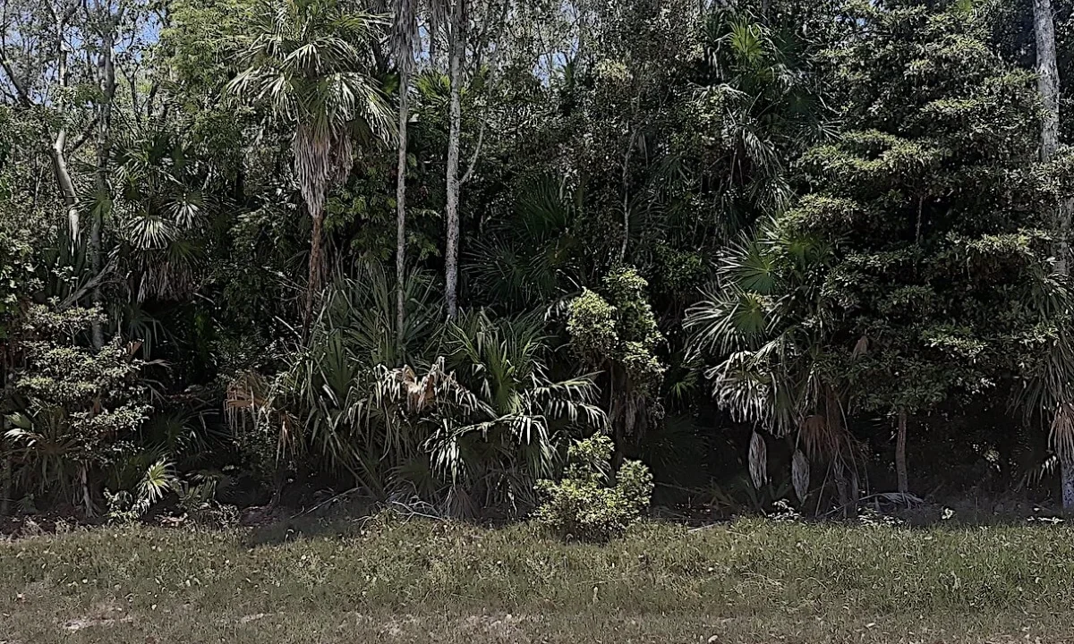 kellerwilliamsbelize-l062402cs-01