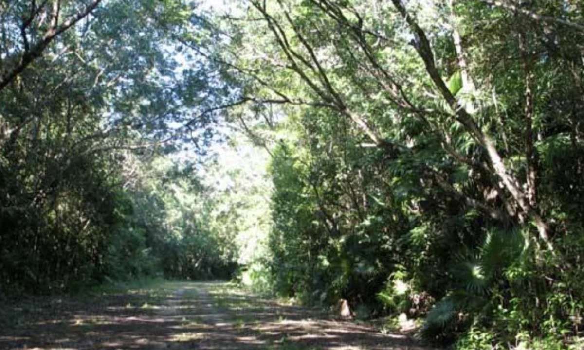 kellerwilliamsbelize-l062402cs-02