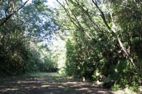 kellerwilliamsbelize-l062402cs-02