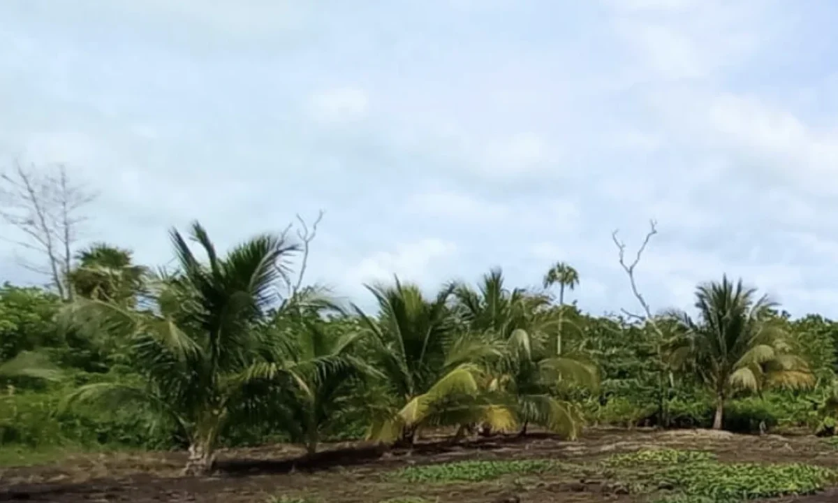 kellerwilliamsbelize-l062402cs-03
