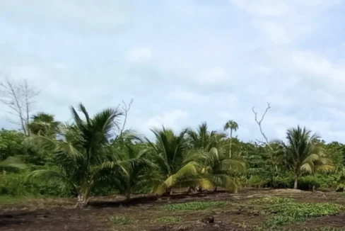 kellerwilliamsbelize-l062402cs-03