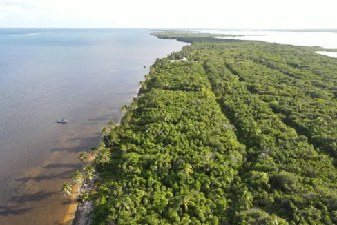 kellerwilliamsbelize-l072401sp-01