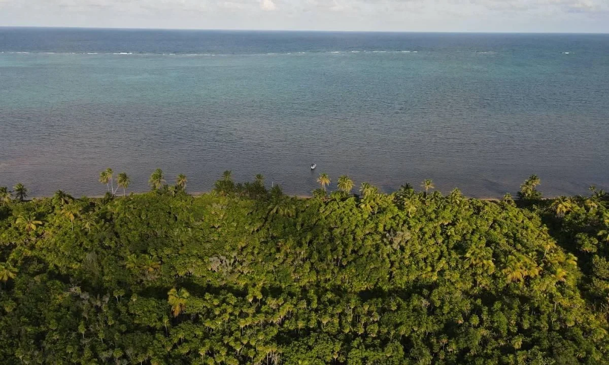 kellerwilliamsbelize-l072401sp-02