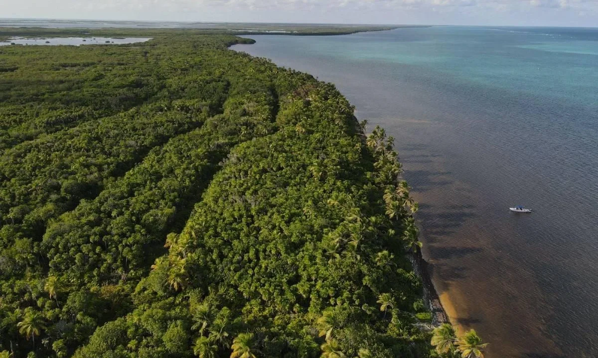 kellerwilliamsbelize-l072401sp-03