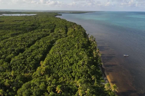 kellerwilliamsbelize-l072401sp-03