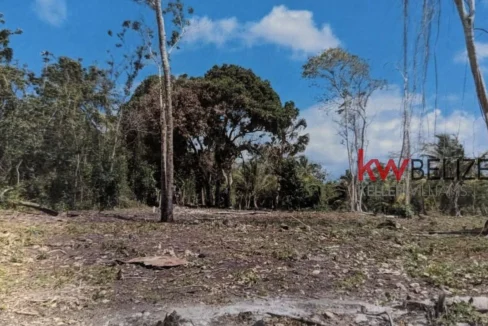 kellerwilliamsbelize-l082311pr-05