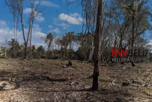 kellerwilliamsbelize-l082311pr-06
