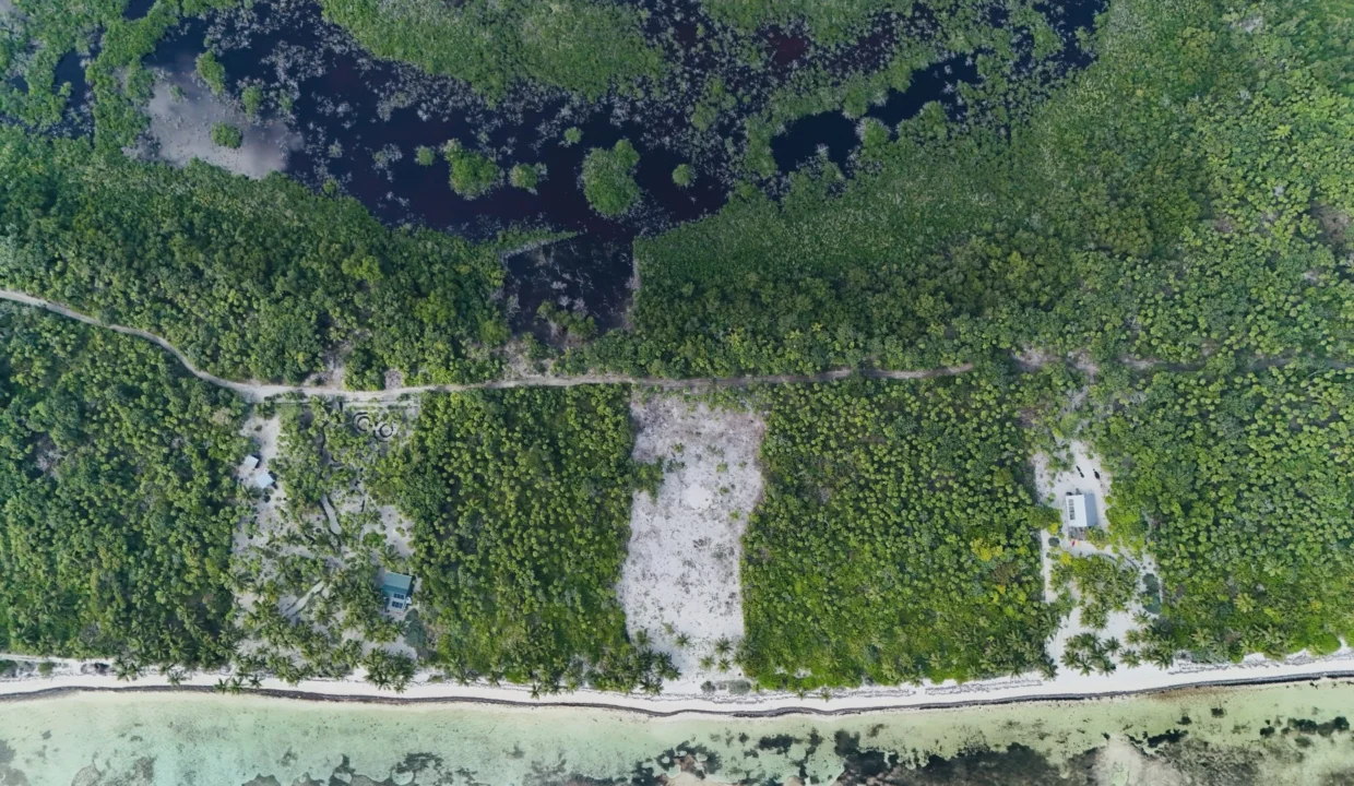 kellerwilliamsbelize-l090125nbsp-01
