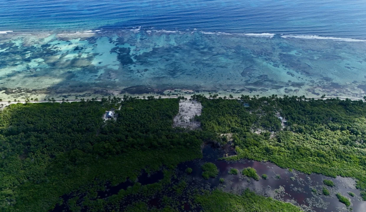 kellerwilliamsbelize-l090125nbsp-03