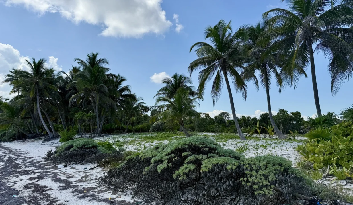 kellerwilliamsbelize-l090125nbsp-05