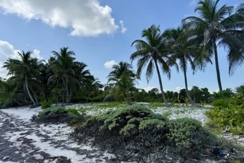 kellerwilliamsbelize-l090125nbsp-05