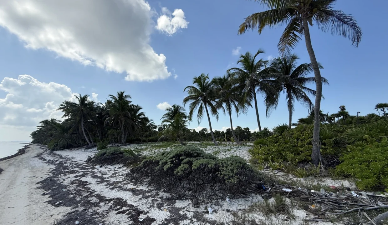 kellerwilliamsbelize-l090125nbsp-06