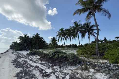 kellerwilliamsbelize-l090125nbsp-06