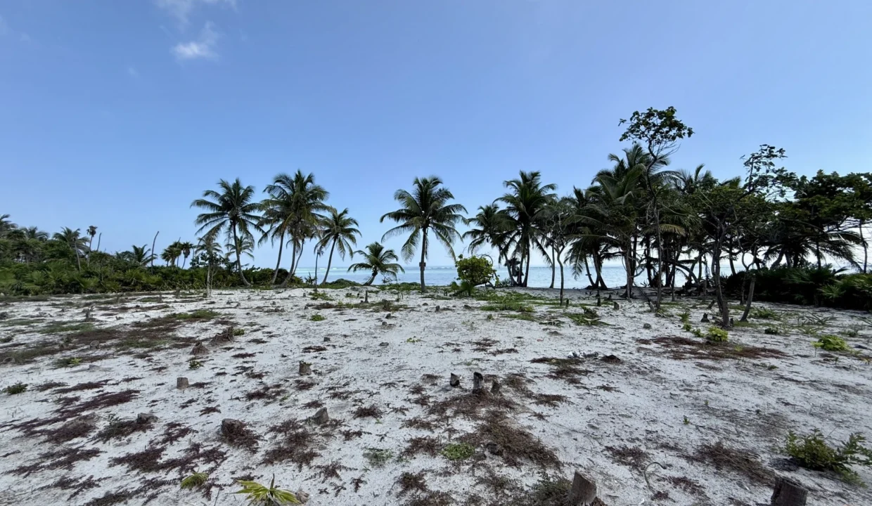 kellerwilliamsbelize-l090125nbsp-07