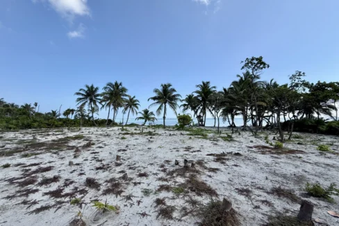 kellerwilliamsbelize-l090125nbsp-07