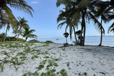 kellerwilliamsbelize-l090125nbsp-08