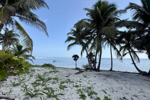kellerwilliamsbelize-l090125nbsp-09