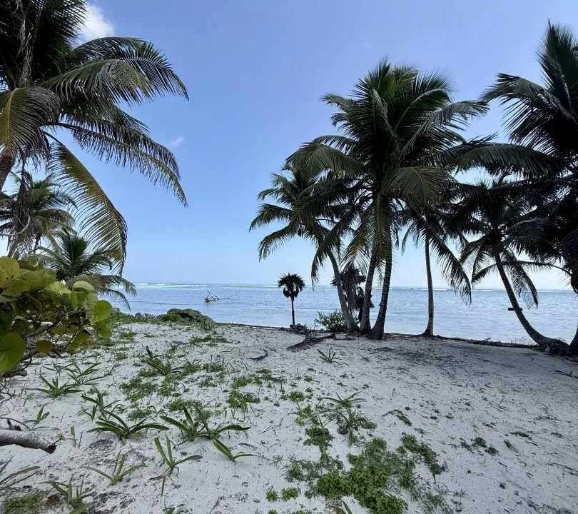 kellerwilliamsbelize-l090125nbsp-09