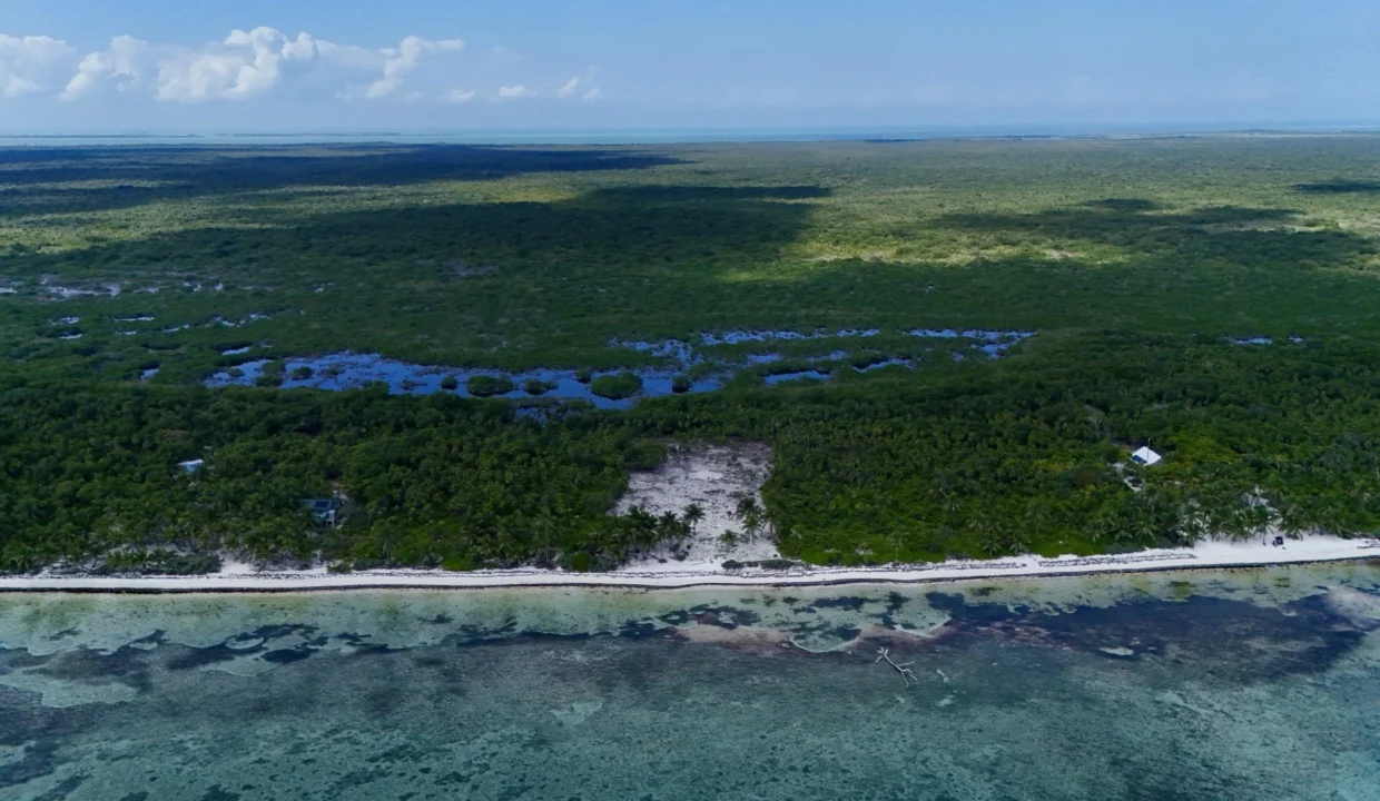 kellerwilliamsbelize-l090125nbsp-10