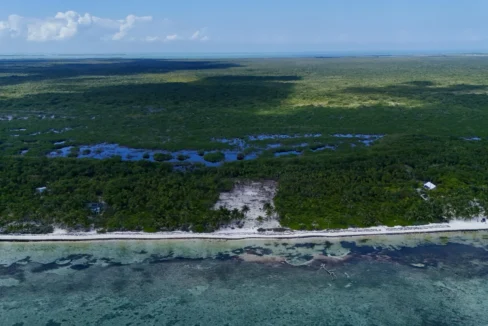 kellerwilliamsbelize-l090125nbsp-10