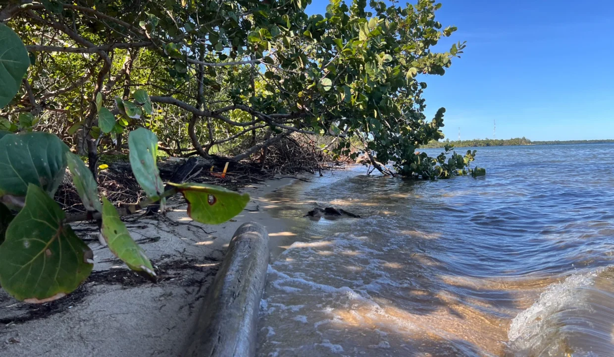 kellerwilliamsbelize-l1019-02