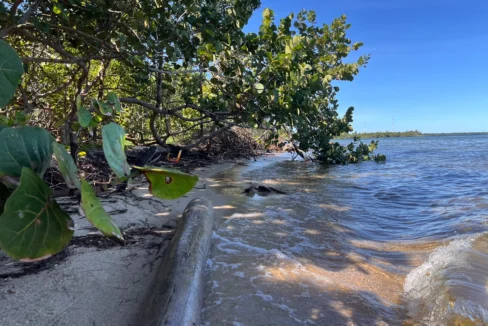 kellerwilliamsbelize-l1019-02