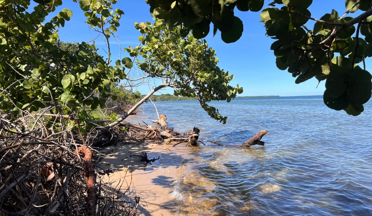 kellerwilliamsbelize-l1019-09