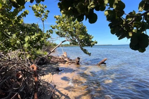 kellerwilliamsbelize-l1019-09