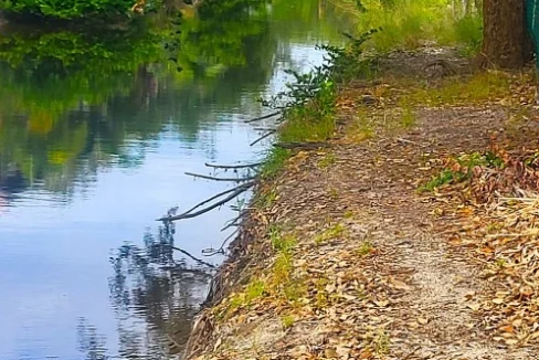 kellerwilliamsbelize-l1023-01