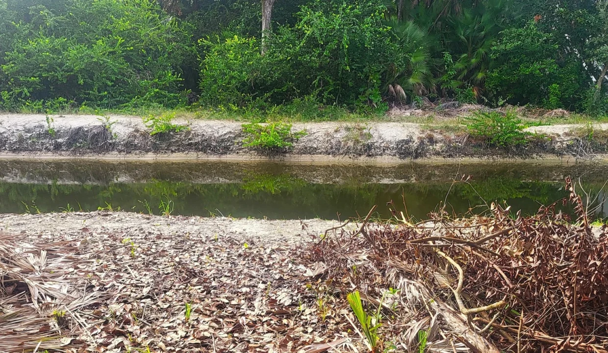 kellerwilliamsbelize-l1023-06