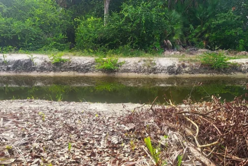 kellerwilliamsbelize-l1023-06