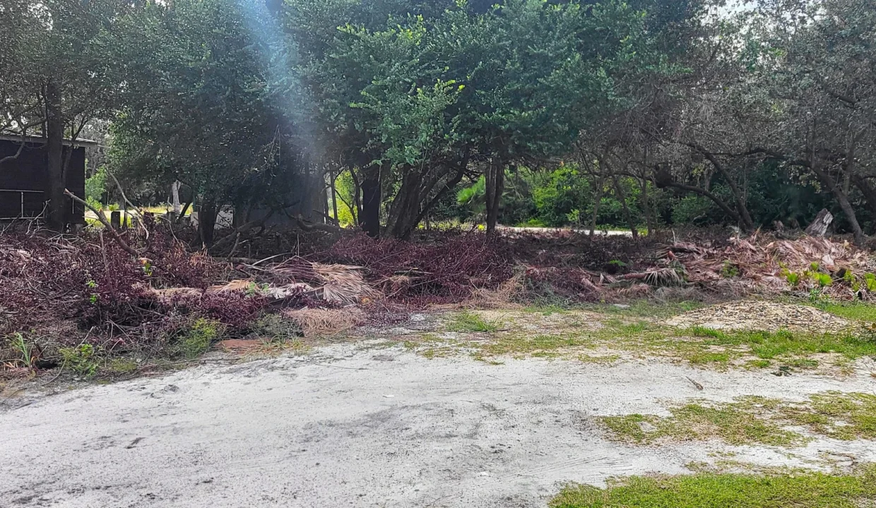 kellerwilliamsbelize-l1023-07