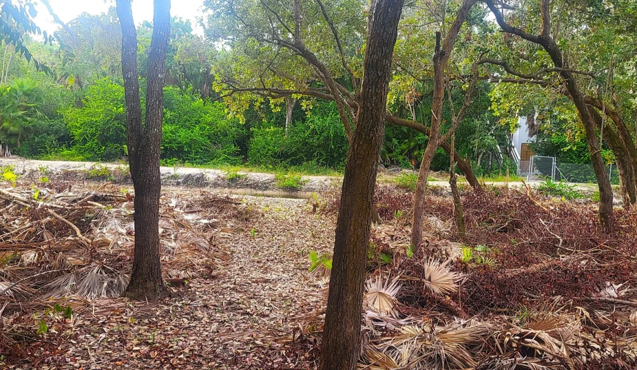 kellerwilliamsbelize-l1023-08