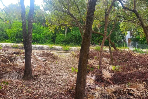kellerwilliamsbelize-l1023-08