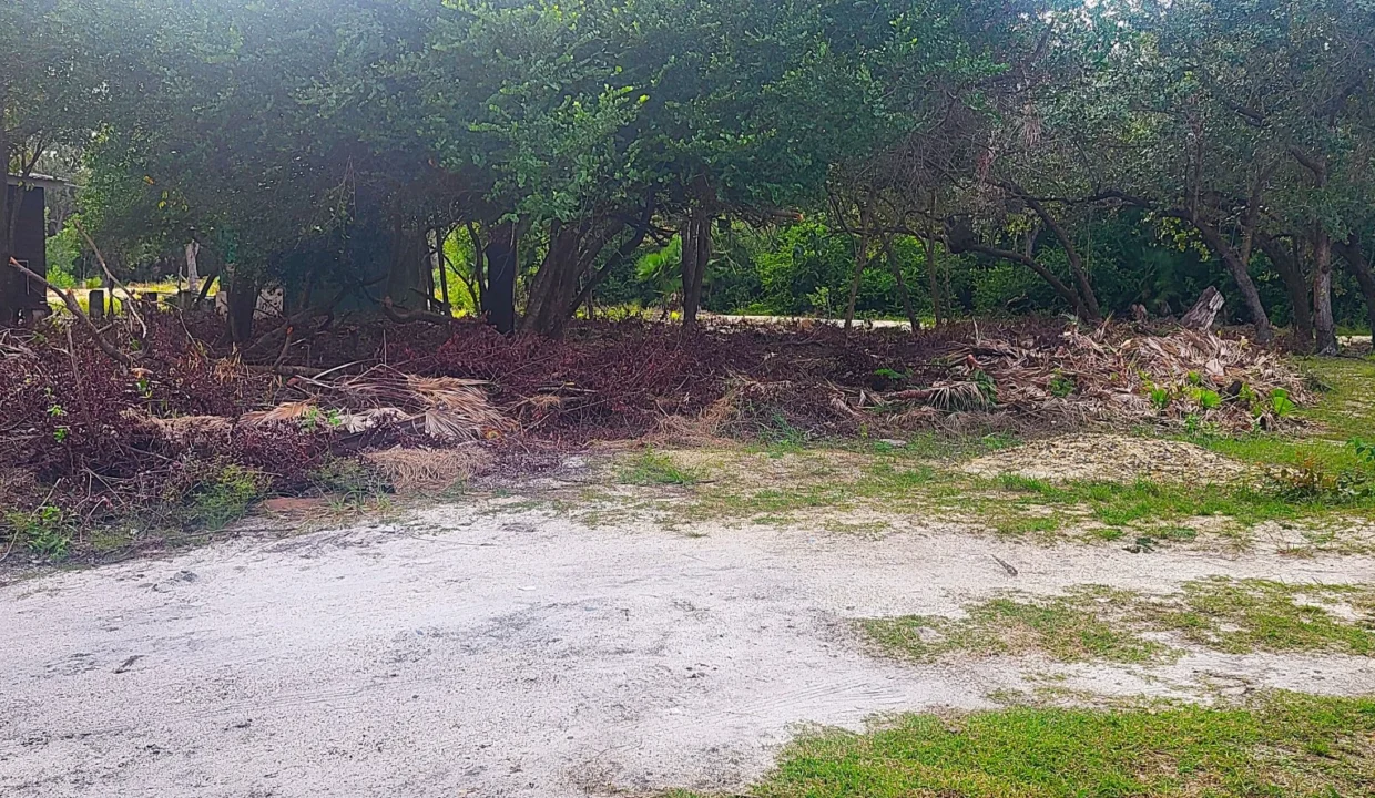 kellerwilliamsbelize-l1023-09