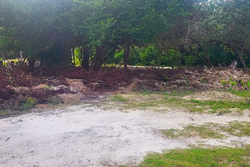kellerwilliamsbelize-l1023-09