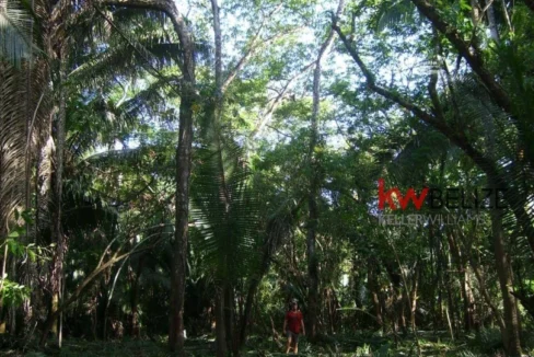 kellerwilliamsbelize-l152211bf-04