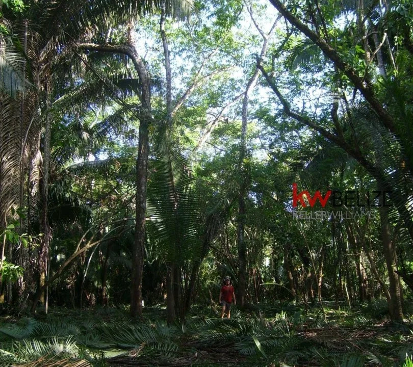 kellerwilliamsbelize-l152211bf-04