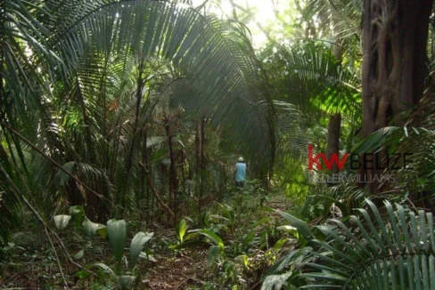 kellerwilliamsbelize-l152211bf-05
