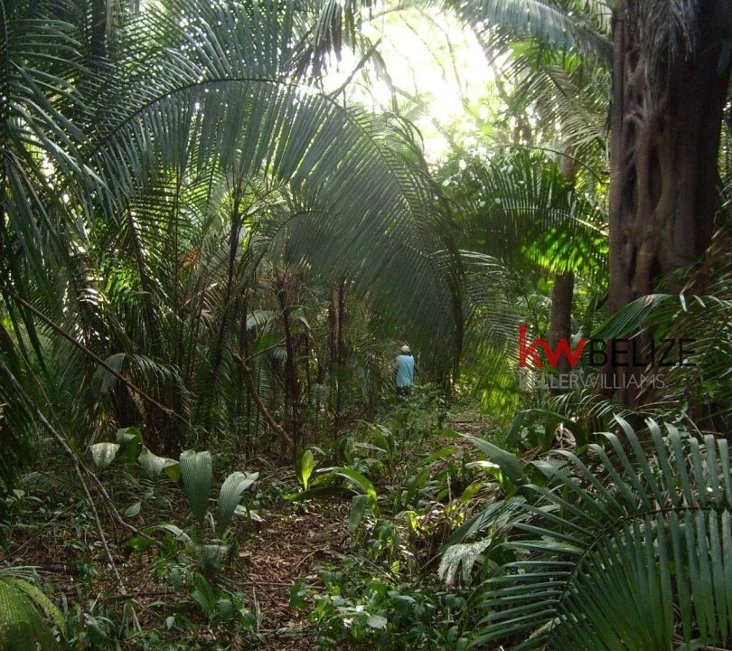 kellerwilliamsbelize-l152211bf-05