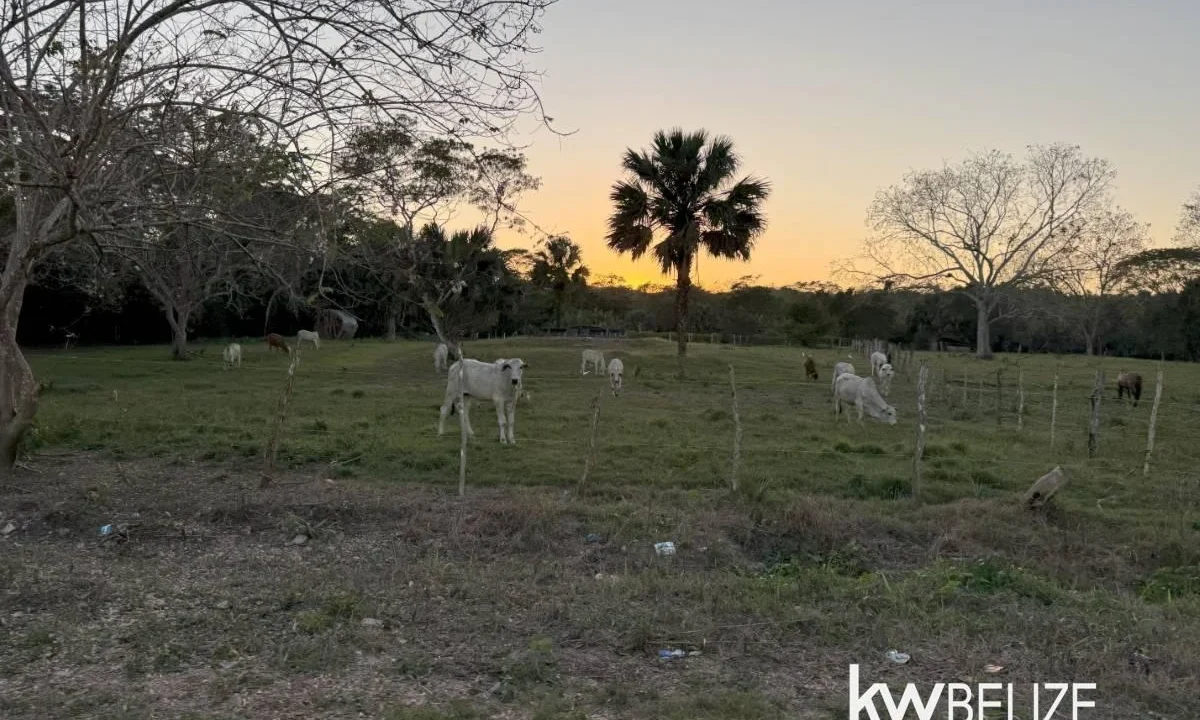 kellerwilliamsbelize-l202504cc-12