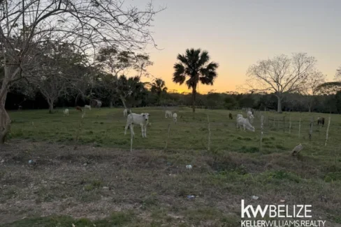 kellerwilliamsbelize-l202504cc-12