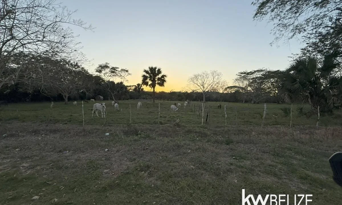 kellerwilliamsbelize-l202504cc-13
