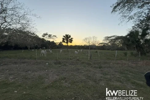 kellerwilliamsbelize-l202504cc-13