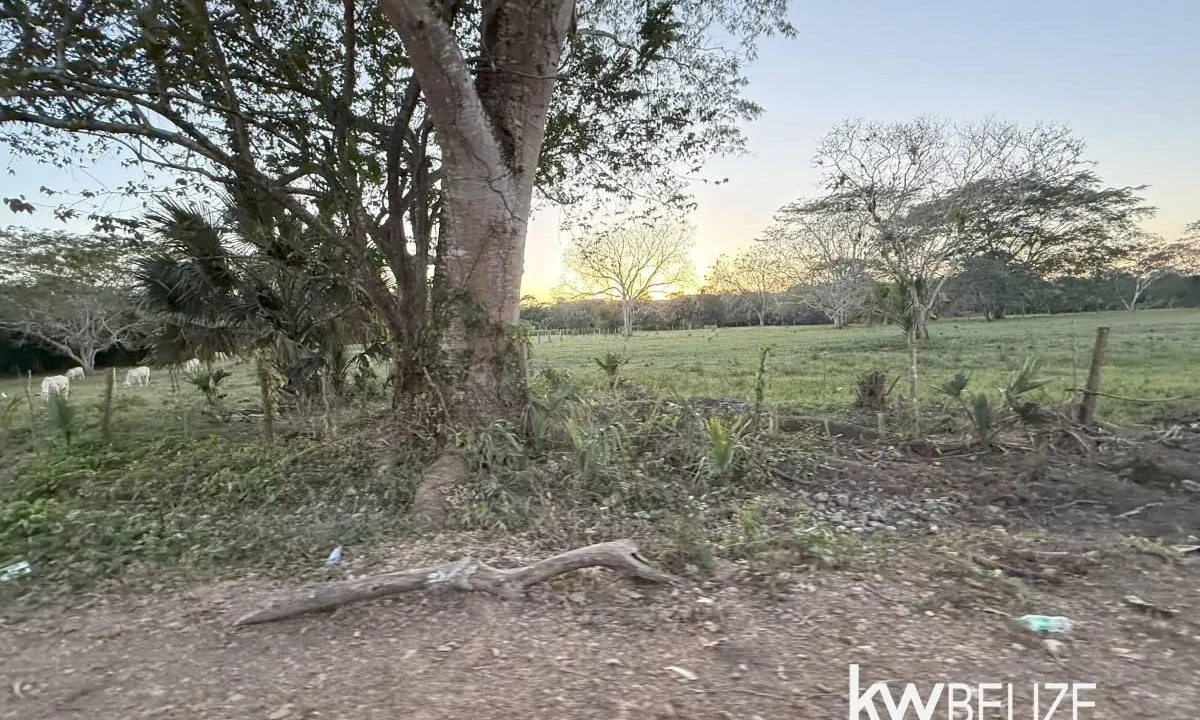 kellerwilliamsbelize-l202504cc-14