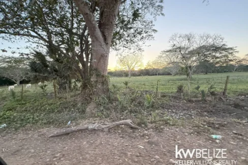 kellerwilliamsbelize-l202504cc-14